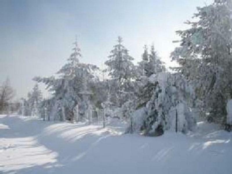 Апартаменты Haus Bergblick Bay. Wald *