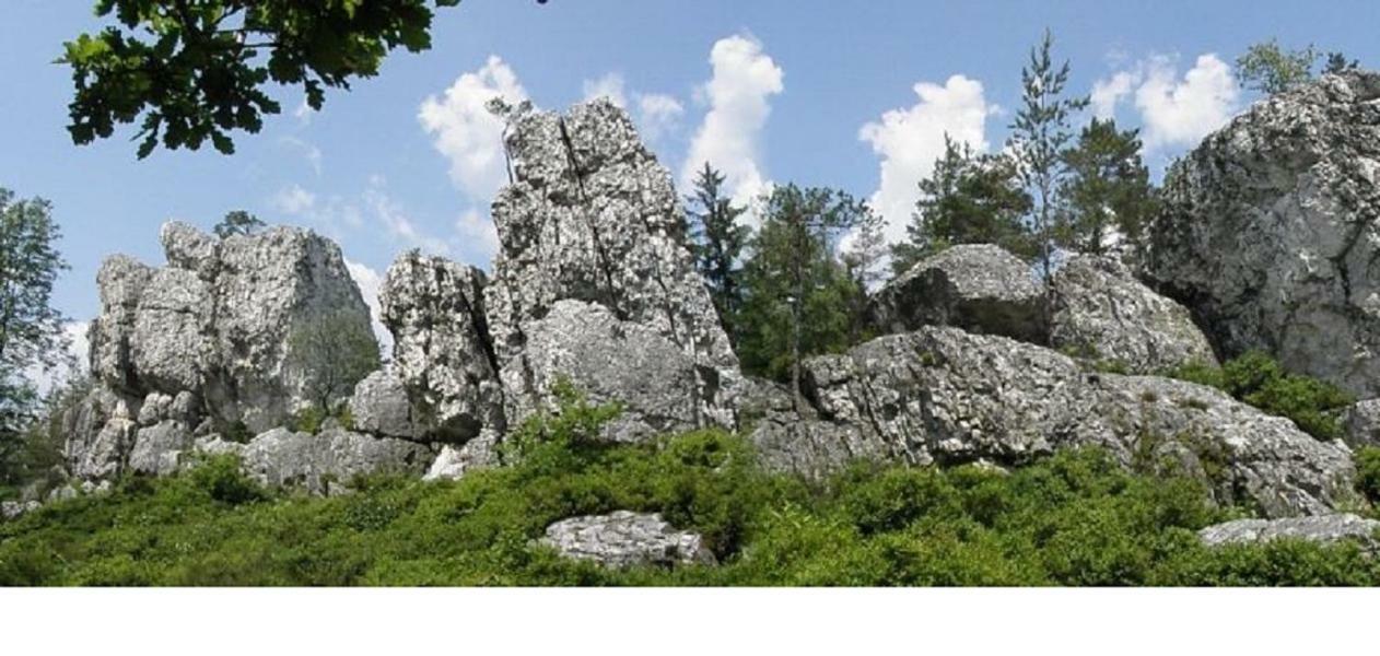 Haus Bergblick Bay. Wald *