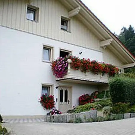 Апартаменты Haus Bergblick Bay. Wald Prackenbach Экстерьер фото