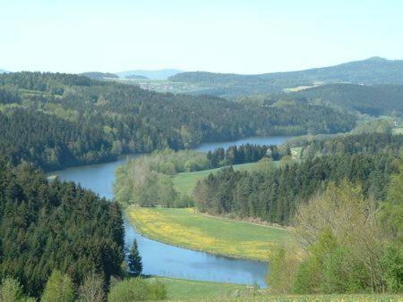 Haus Bergblick Bay. Wald