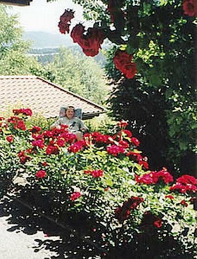 Haus Bergblick Bay. Wald Apartment Prackenbach