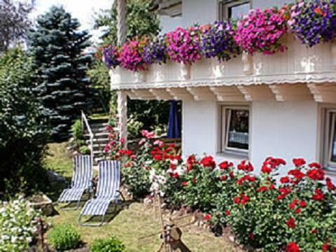 Haus Bergblick Bay. Wald